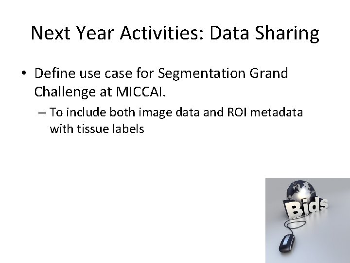 Next Year Activities: Data Sharing • Define use case for Segmentation Grand Challenge at