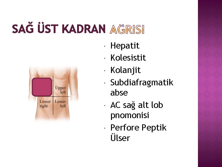 SAĞ ÜST KADRAN Hepatit Kolesistit Kolanjit Subdiafragmatik abse AC sağ alt lob pnomonisi Perfore