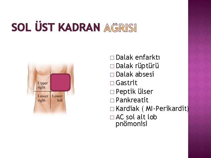 SOL ÜST KADRAN � Dalak enfarktı � Dalak rüptürü � Dalak absesi � Gastrit