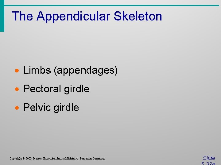 The Appendicular Skeleton · Limbs (appendages) · Pectoral girdle · Pelvic girdle Copyright ©