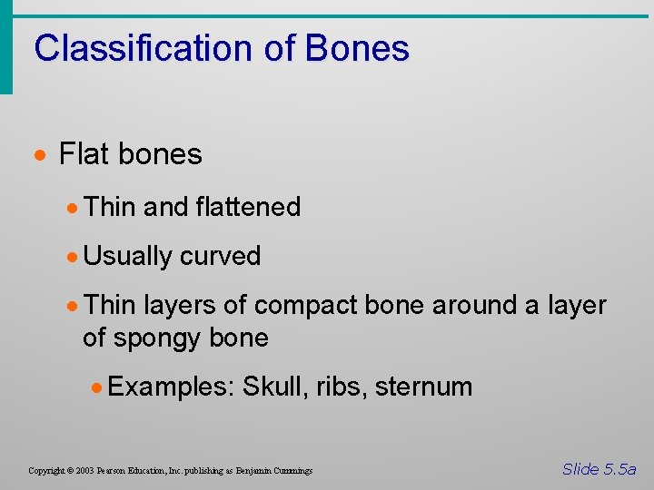 Classification of Bones · Flat bones · Thin and flattened · Usually curved ·