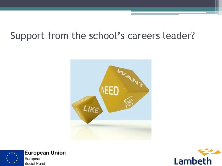 Support from the school’s careers leader? 