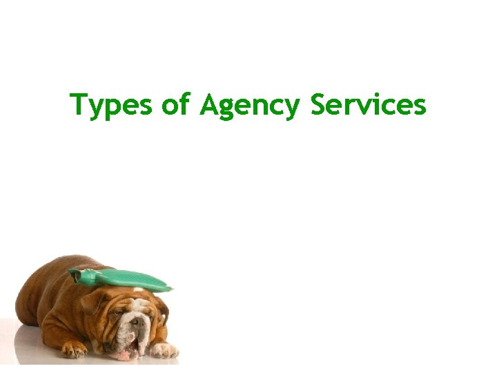 Types of Agency Services 
