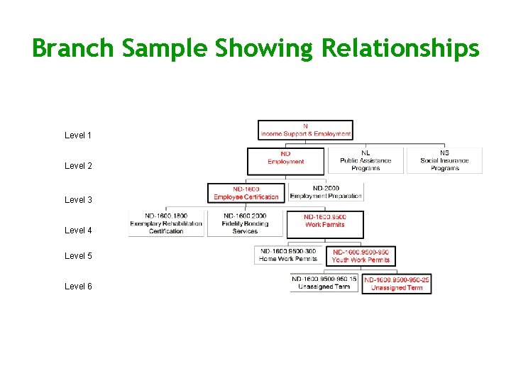 Branch Sample Showing Relationships Level 1 Level 2 Level 3 Level 4 Level 5