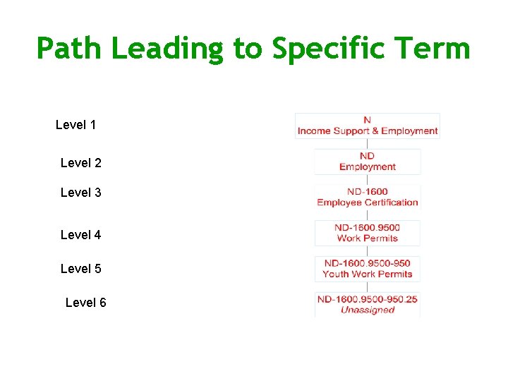 Path Leading to Specific Term Level 1 Level 2 Level 3 Level 4 Level