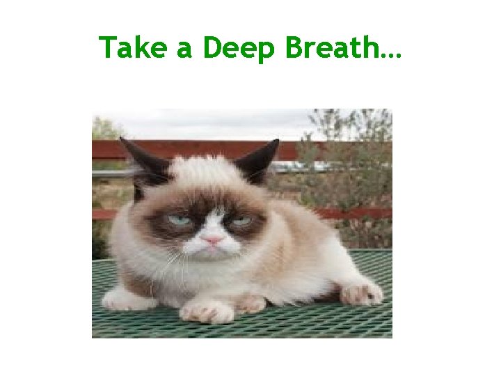 Take a Deep Breath… 