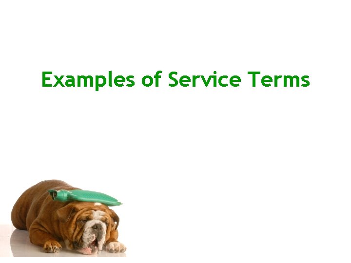 Examples of Service Terms 