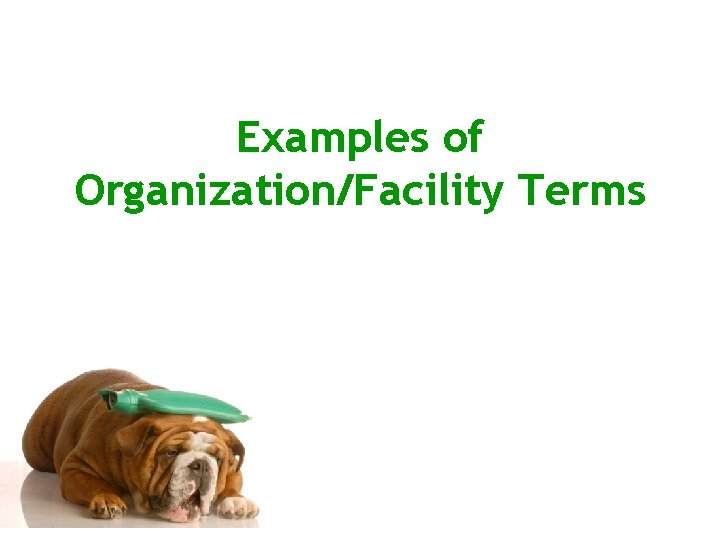 Examples of Organization/Facility Terms 
