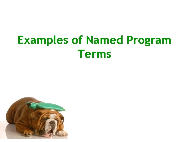 Examples of Named Program Terms 