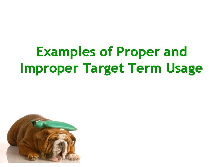 Examples of Proper and Improper Target Term Usage 