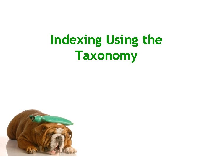 Indexing Using the Taxonomy 