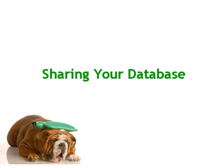 Sharing Your Database 