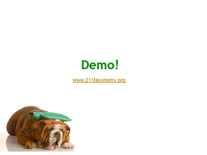 Demo! www. 211 taxonomy. org 