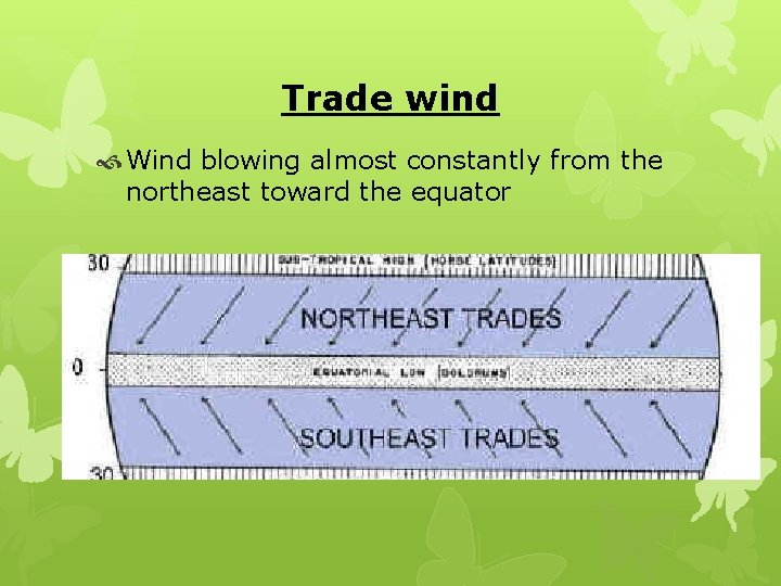 Trade wind Wind blowing almost constantly from the northeast toward the equator 