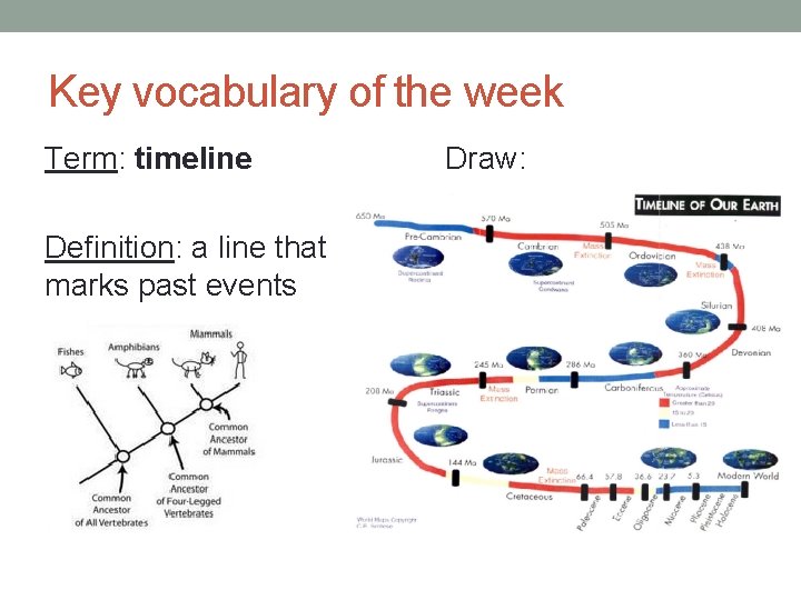 Key vocabulary of the week Term: timeline Definition: a line that marks past events