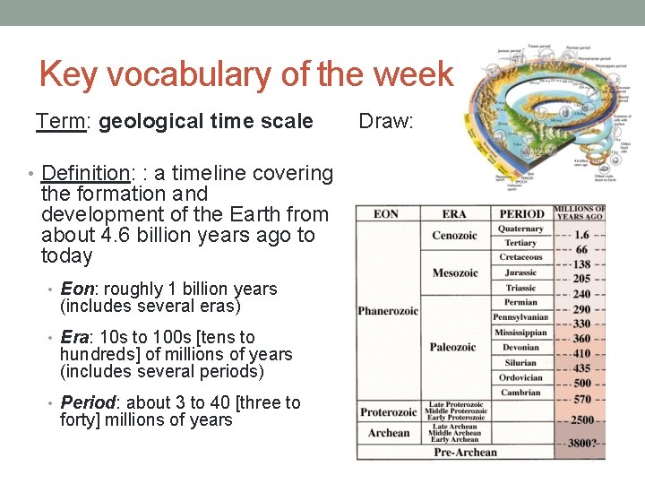 Key vocabulary of the week Term: geological time scale • Definition: : a timeline
