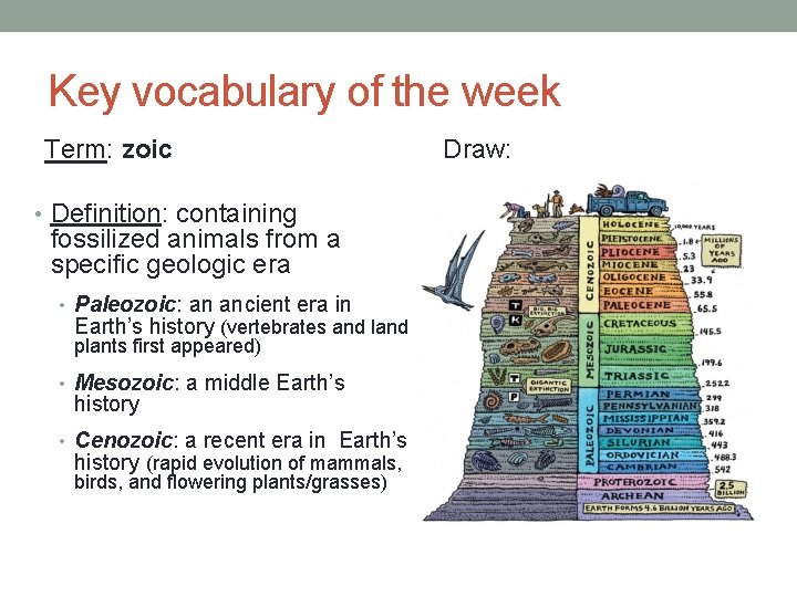 Key vocabulary of the week Term: zoic • Definition: containing fossilized animals from a