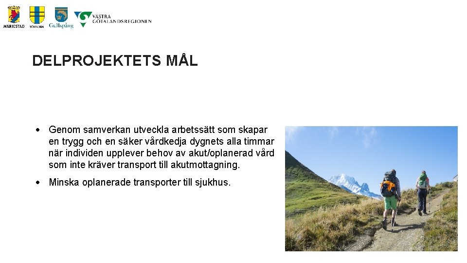 DELPROJEKTETS MÅL Genom samverkan utveckla arbetssätt som skapar en trygg och en säker vårdkedja