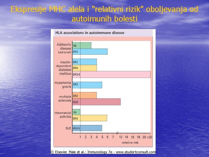 Ekspresije MHC alela i "relativni rizik" oboljevanja od autoimunih bolesti 