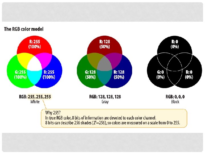 CHAPTER 13 COLORS BACKGROUNDS SPECIFYING COLORS Three common