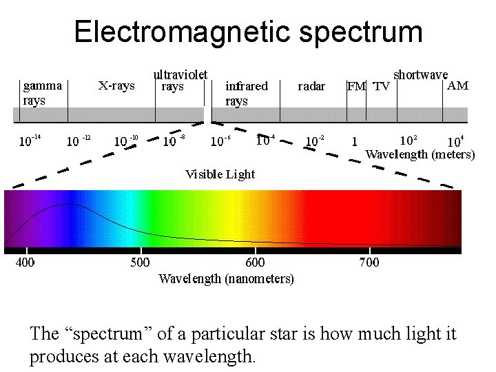 Electromagnetic spectrum The “spectrum” of a particular star is how much light it produces