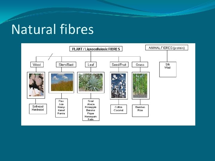 Natural fibres 