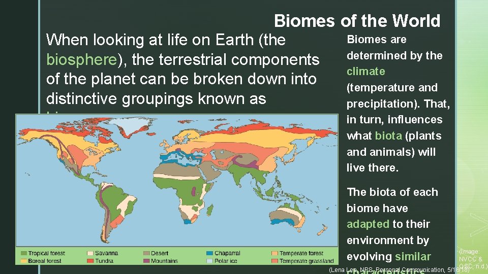 Biomes of the World When looking at life on Earth (the biosphere), the terrestrial