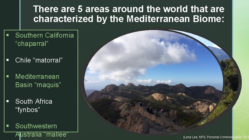 There are 5 areas around the world that are characterized by the Mediterranean Biome: