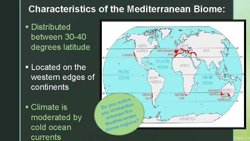 Characteristics of the Mediterranean Biome: § Distributed between 30 -40 degrees latitude § Located
