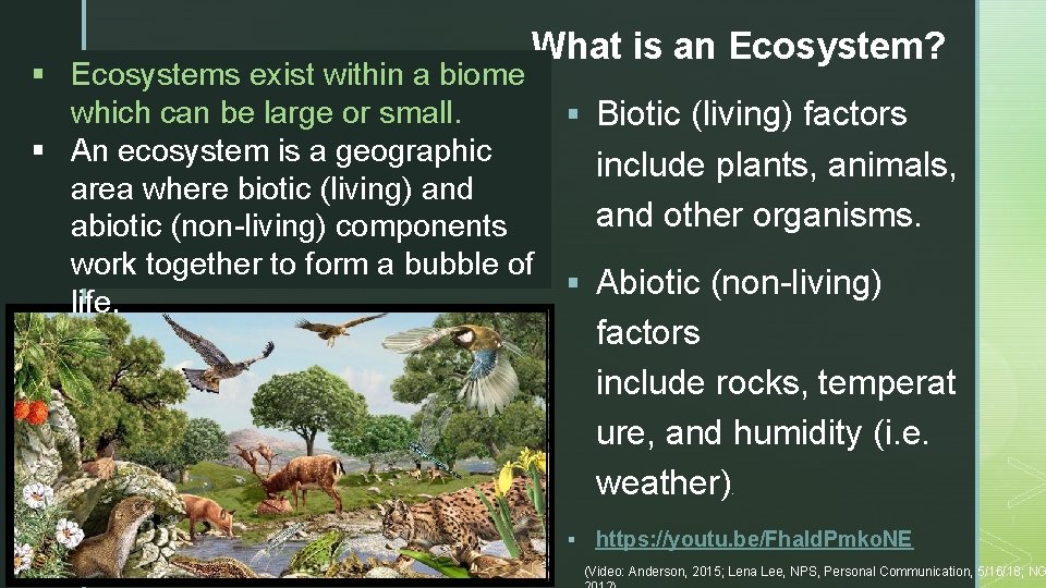 What is an Ecosystem? § Ecosystems exist within a biome which can be large