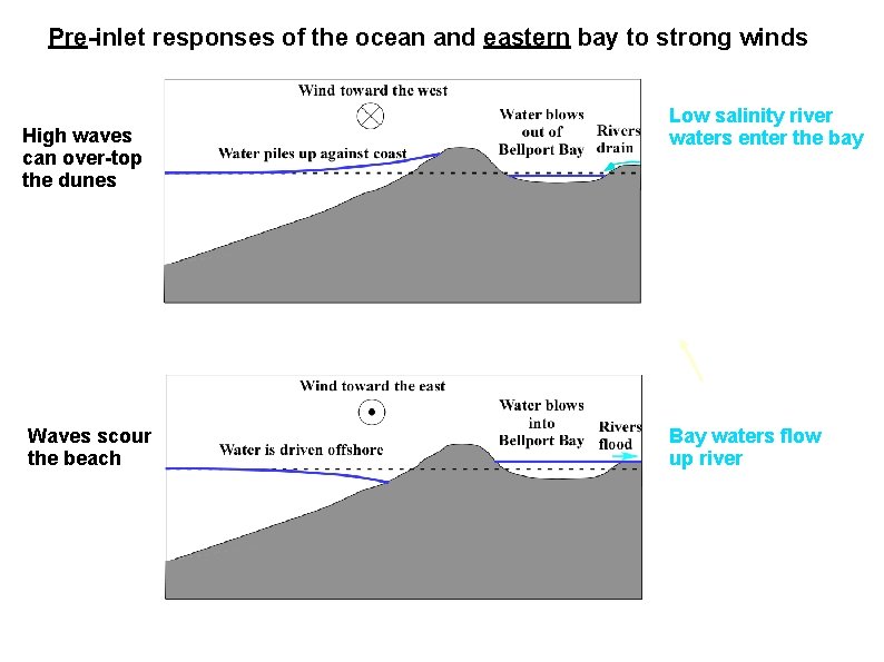 Pre-inlet responses of the ocean and eastern bay to strong winds High waves can