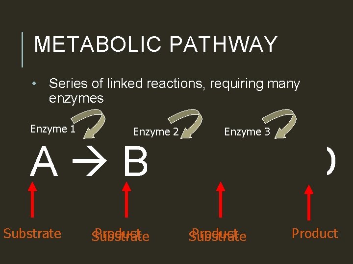 METABOLIC PATHWAY • Series of linked reactions, requiring many enzymes Enzyme 1 Enzyme 2