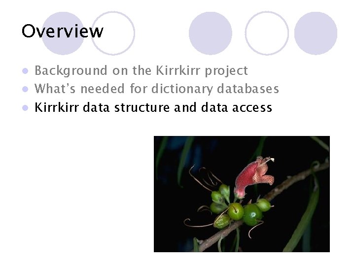 Overview Background on the Kirrkirr project l What’s needed for dictionary databases l Kirrkirr