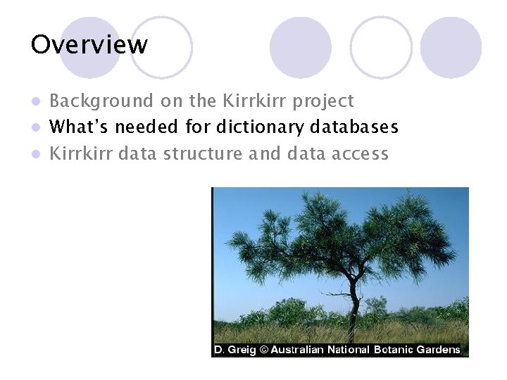 Overview Background on the Kirrkirr project l What’s needed for dictionary databases l Kirrkirr