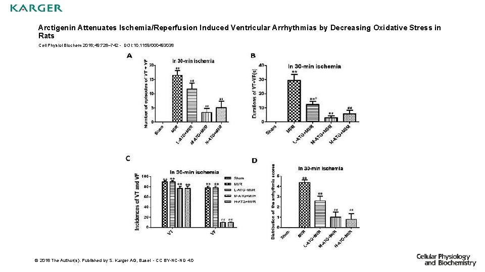 Arctigenin Attenuates Ischemia/Reperfusion Induced Ventricular Arrhythmias by Decreasing Oxidative Stress in Rats Cell Physiol