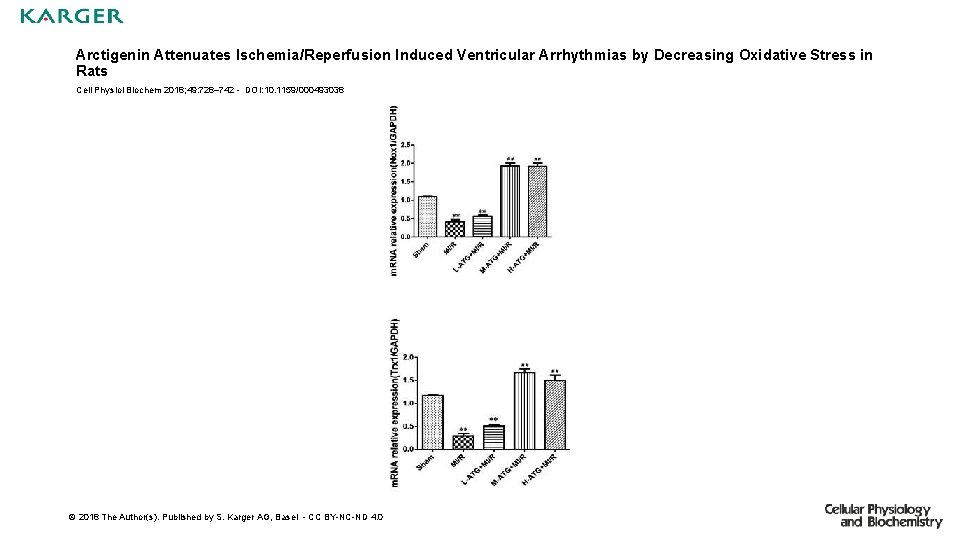 Arctigenin Attenuates Ischemia/Reperfusion Induced Ventricular Arrhythmias by Decreasing Oxidative Stress in Rats Cell Physiol