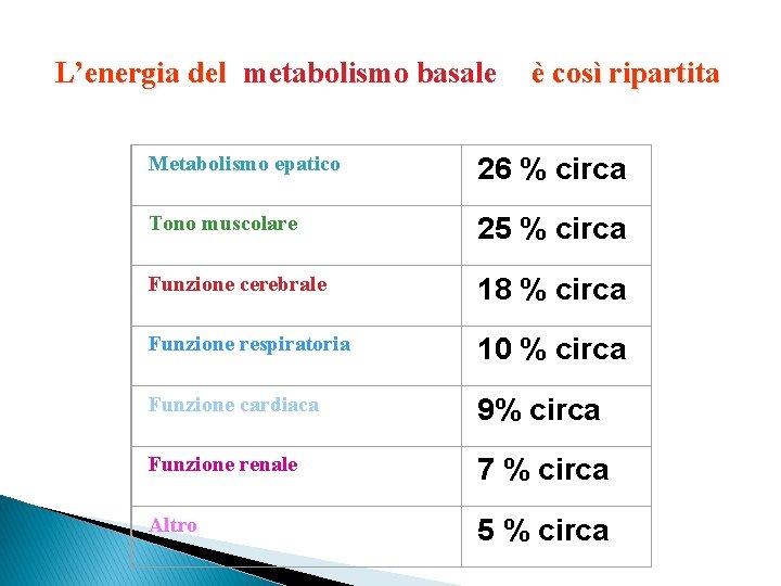 L’energia del metabolismo basale è così ripartita Metabolismo epatico 26 % circa Tono muscolare