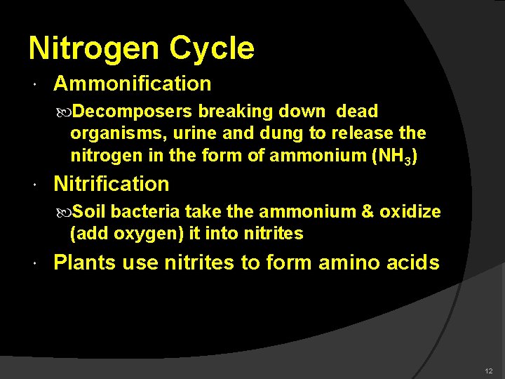 Nitrogen Cycle Ammonification Decomposers breaking down dead organisms, urine and dung to release the