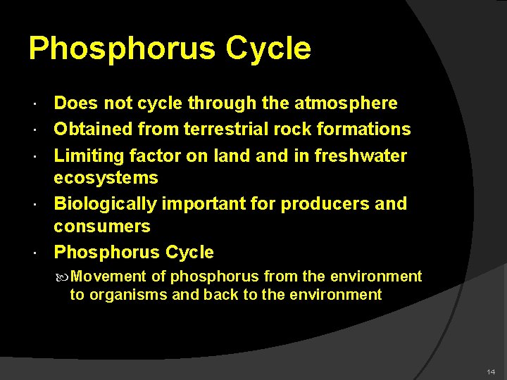 Phosphorus Cycle Does not cycle through the atmosphere Obtained from terrestrial rock formations Limiting