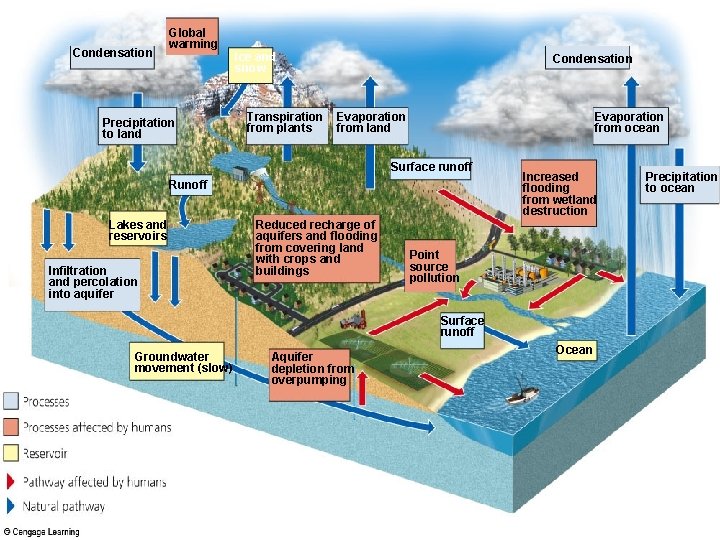 Condensation Global warming Precipitation to land Ice and snow Transpiration from plants Condensation Evaporation