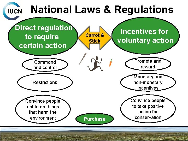 National Laws & Regulations Direct regulation to require certain action Carrot & Stick Incentives