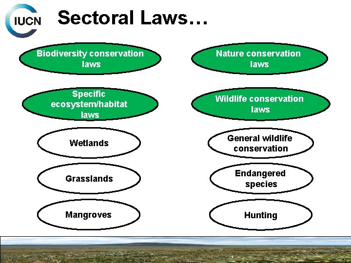 Sectoral Laws… Biodiversity conservation laws Nature conservation laws Specific ecosystem/habitat laws Wildlife conservation laws