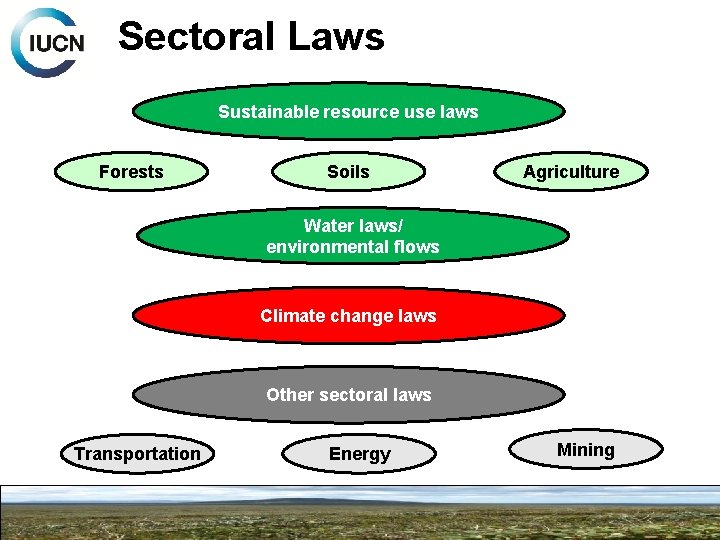 Sectoral Laws Sustainable resource use laws Forests Soils Agriculture Water laws/ environmental flows Climate