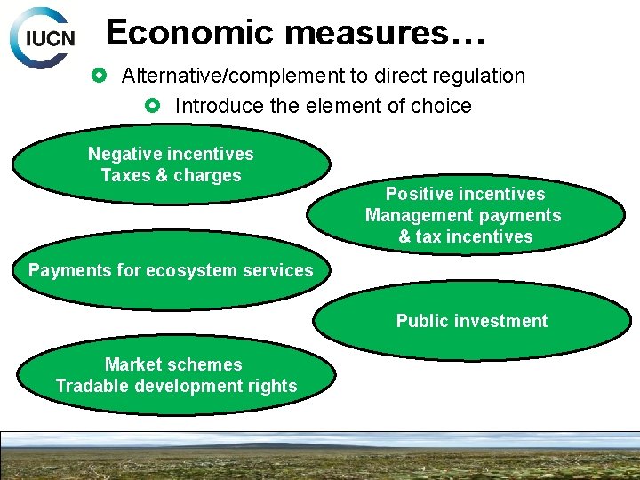 Economic measures… Alternative/complement to direct regulation Introduce the element of choice Negative incentives Taxes