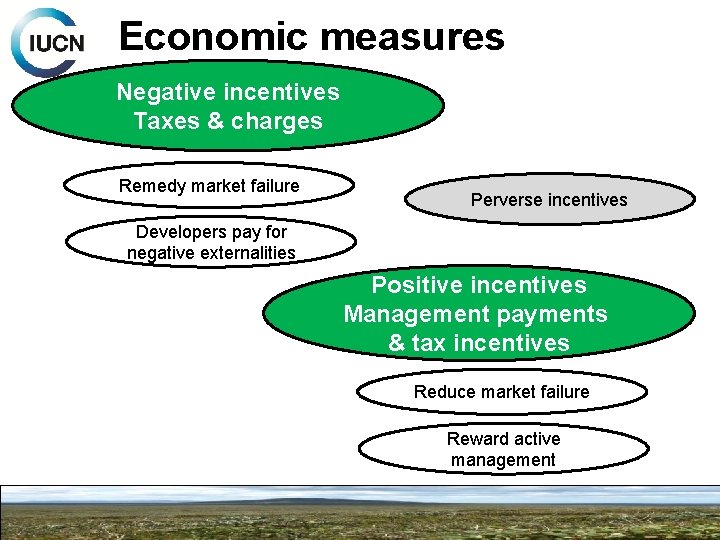 Economic measures Negative incentives Taxes & charges Remedy market failure Perverse incentives Developers pay