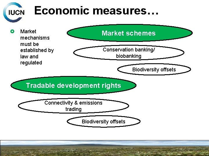 Economic measures… Market mechanisms must be established by law and regulated Market schemes Conservation