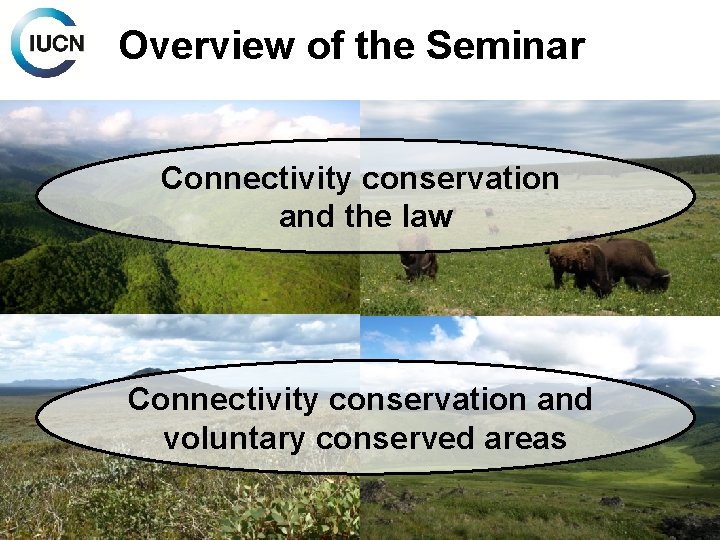 Overview of the Seminar Connectivity conservation and the law Connectivity conservation and voluntary conserved