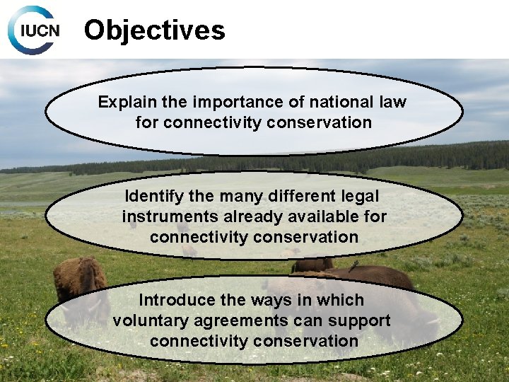 Objectives Explain the importance of national law for connectivity conservation Identify the many different