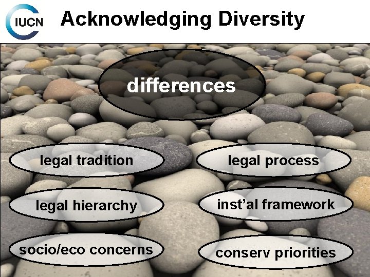 Acknowledging Diversity differences legal tradition legal process legal hierarchy inst’al framework socio/eco concerns conserv