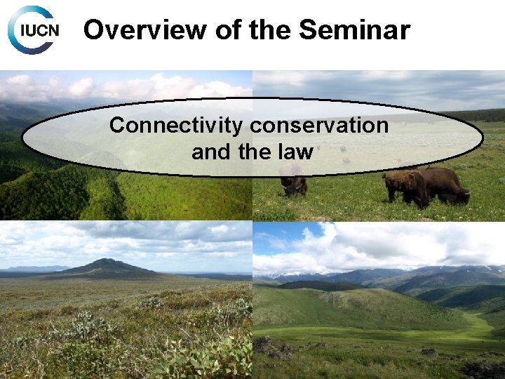 Overview of the Seminar Connectivity conservation and the law 